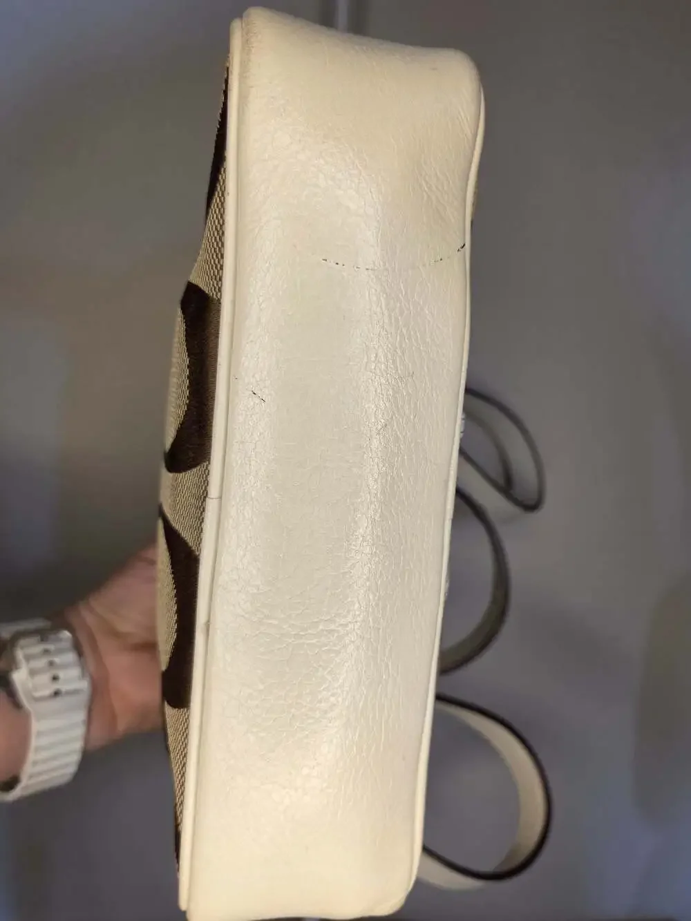 COACH Y2K Camera Bag